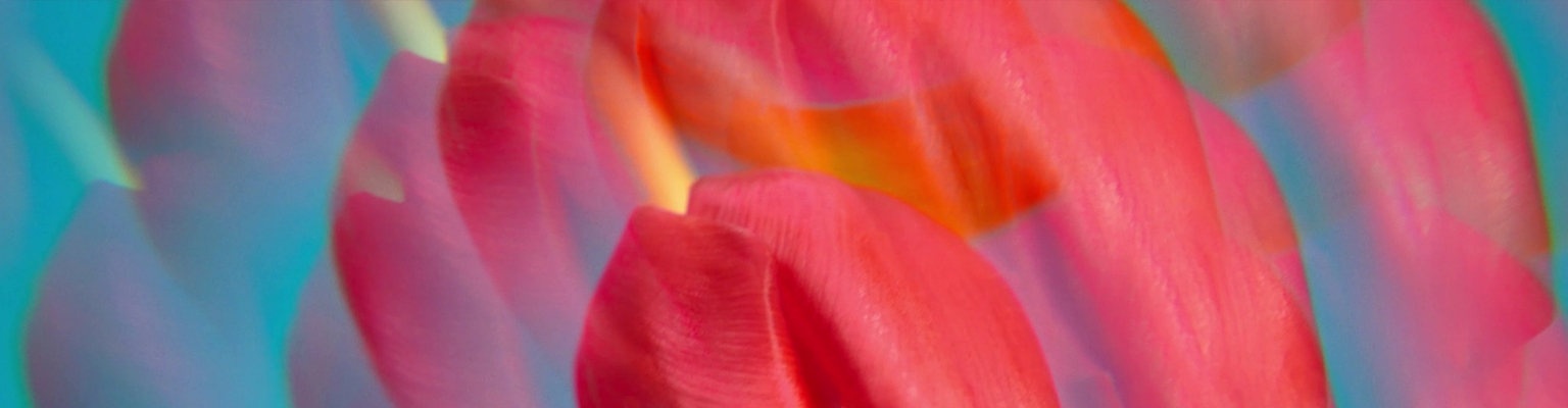 Águas Perfumadas para ela