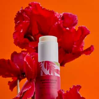 Gingembre Rouge Perfume Sólido de Bem-Estar