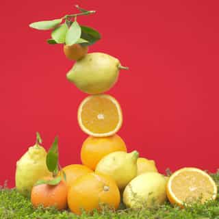 Bois d'Orange Duo Creme de Mãos de Bem-Estar