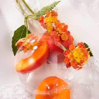 Fleur d'Osmanthus Duo Gel de Duche de Bem-Estar