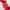 Gingembre Rouge Gel de Duche de Bem-Estar