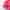 Rose Gel de Duche de Bem-Estar
