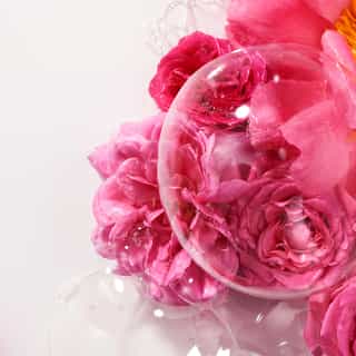 Rose Gel de Duche de Bem-Estar