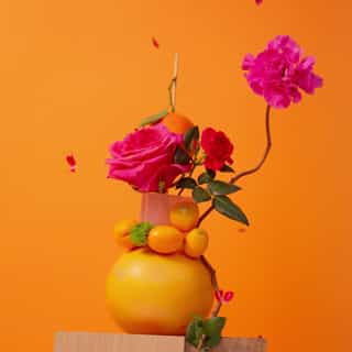 Rose Leite de corpo de bem-estar