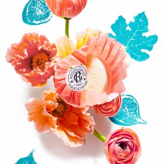 Fleur de Figuier Conjunto Sabonetes Redondos