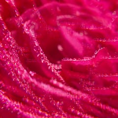 Rose Gel de Duche de Bem-Estar