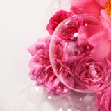 Rose Gel de Duche de Bem-Estar
