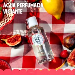 Fleur de Figuier Desodorizante Sólido
