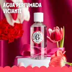 Gingembre Rouge Desodorizante Sólido