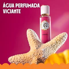 Néroli Desodorizante Sólido