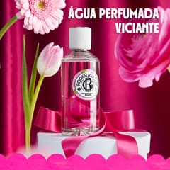 Rose Desodorizante Sólido