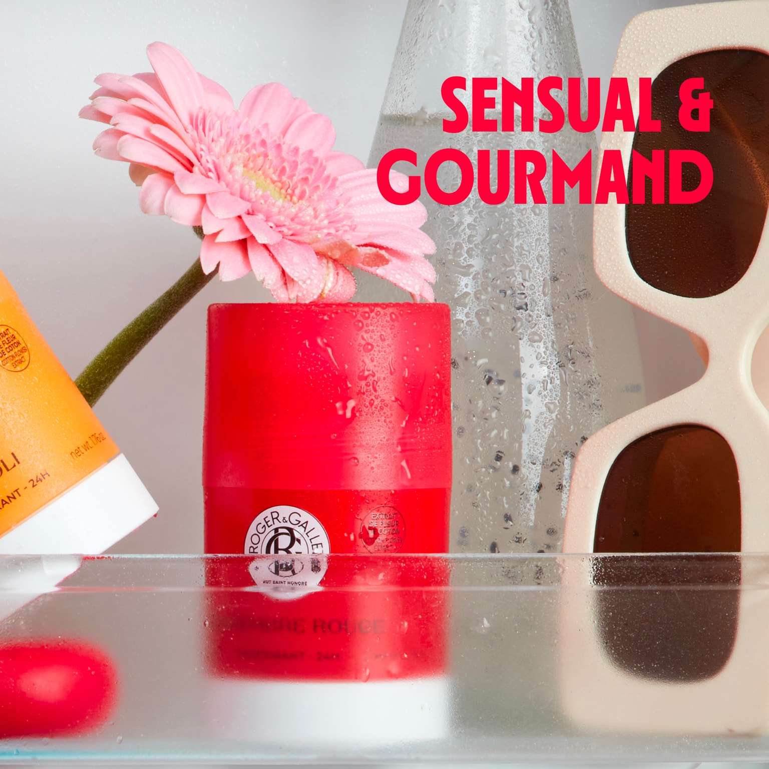 Gingembre Rouge Desodorizante Sólido