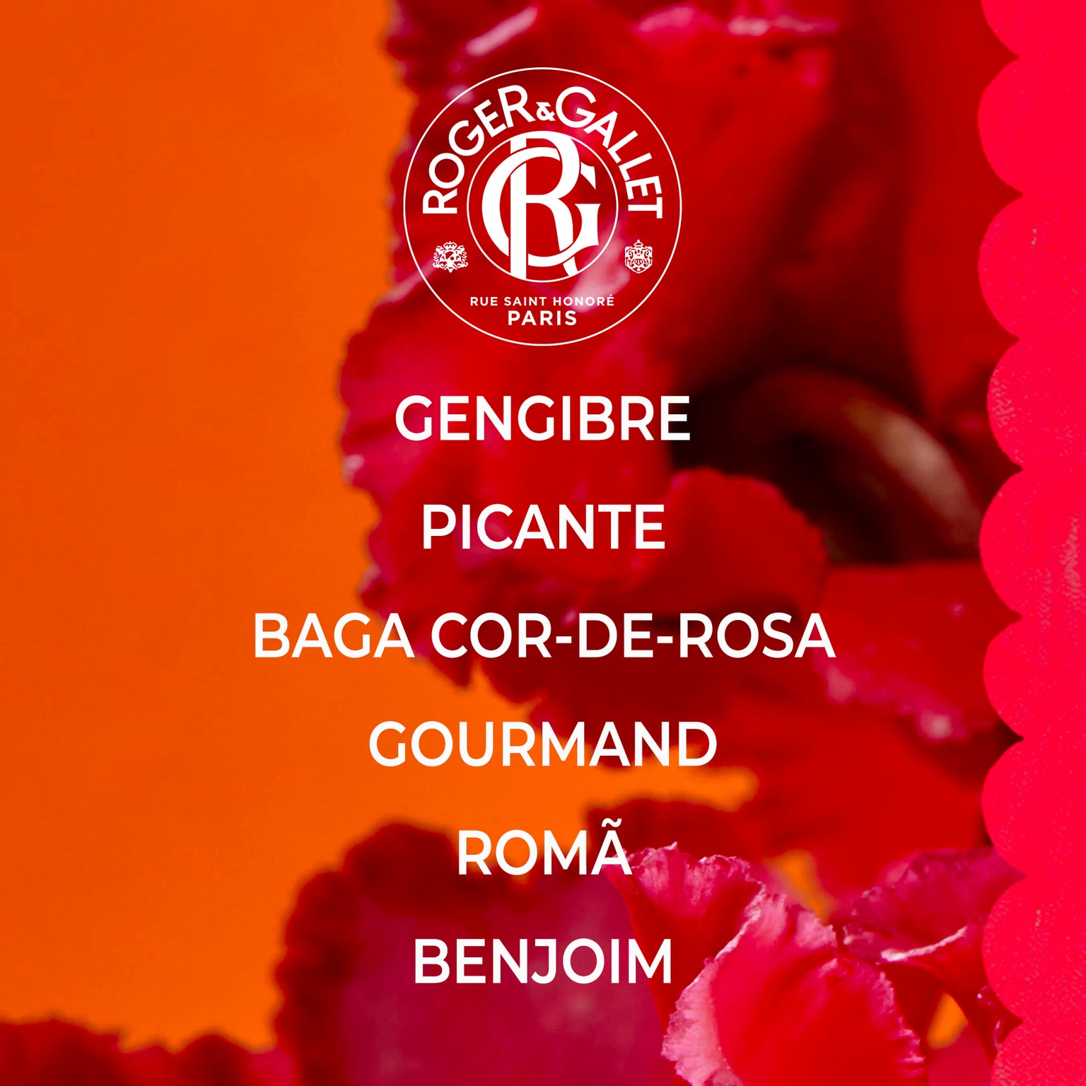 Gingembre Rouge Desodorizante Sólido