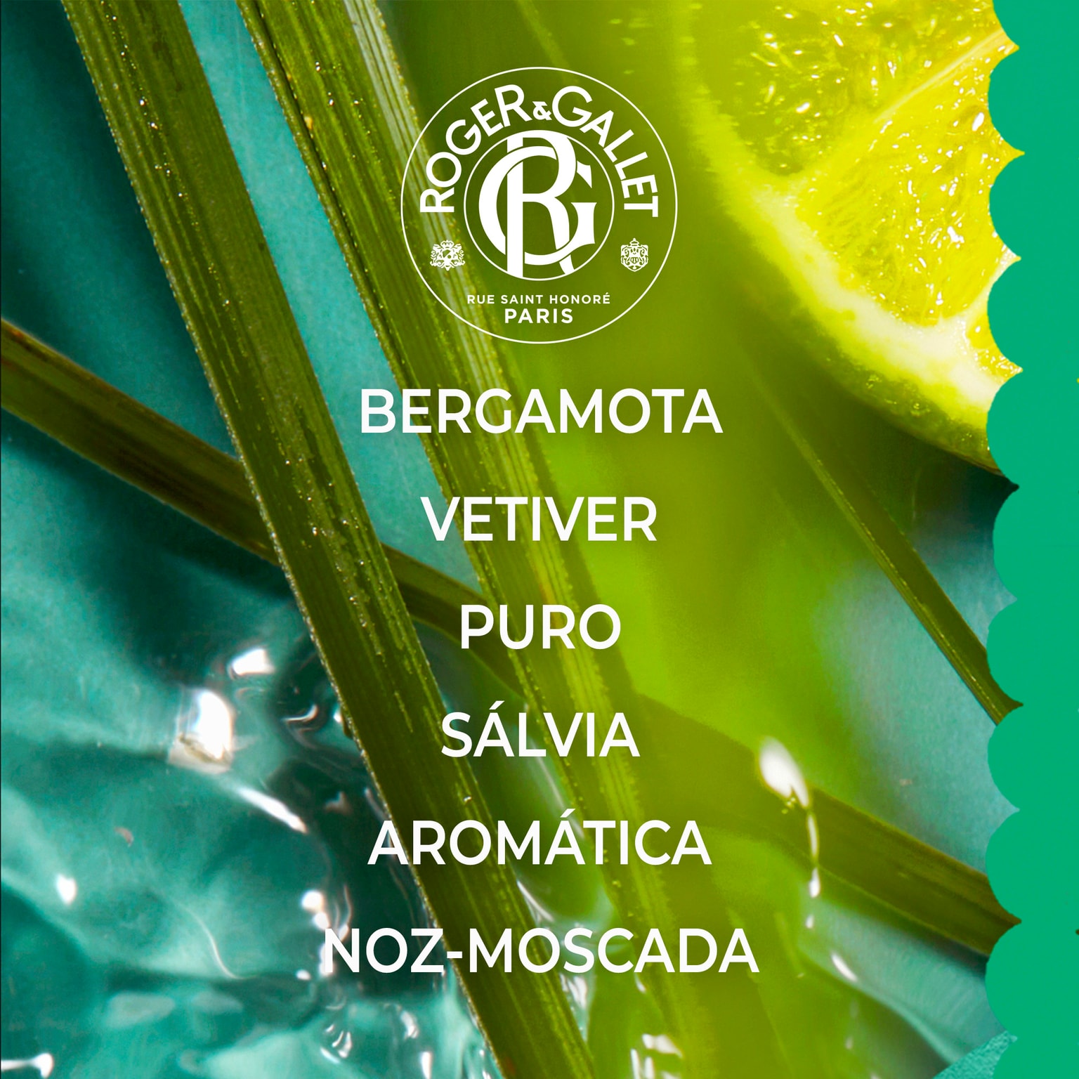 Vétyver Água Perfumada de Bem-Estar