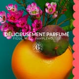 Fleur de Figuier Leite de Corpo de Bem-Estar