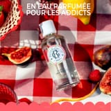Fleur de Figuier Leite de Corpo de Bem-Estar