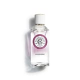 Gingembre Água perfumada de Bem-Estar
