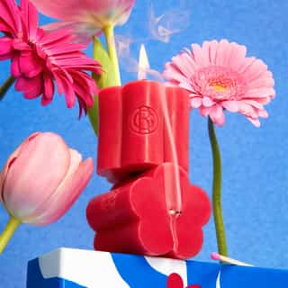 Fleur de Figuier Cofre Água Perfumada 100ml + Vela