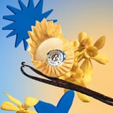 Vanille Soleil Sabonete de Bem-Estar