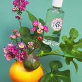 Fleur de Figuier Água Perfumada de Bem-Estar